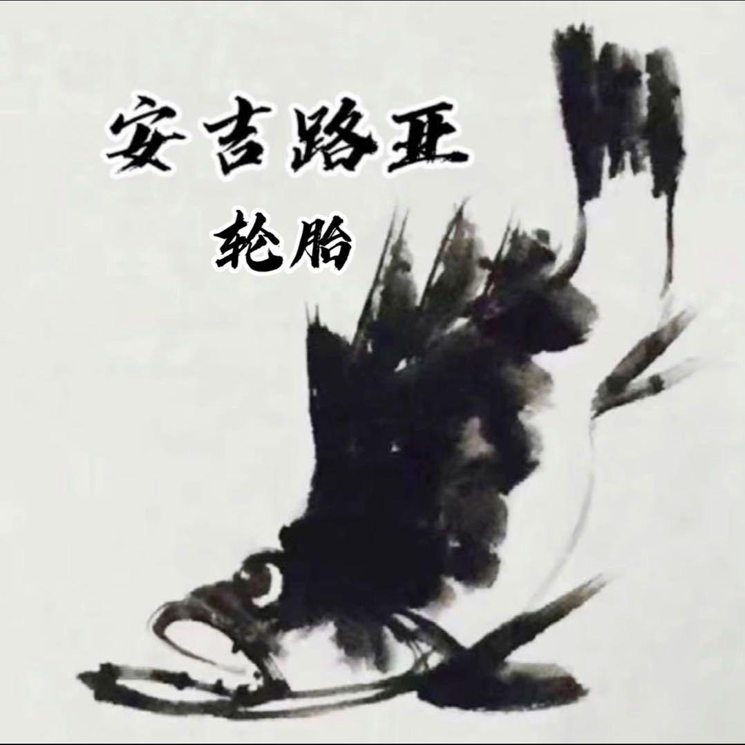 路亚-轮胎