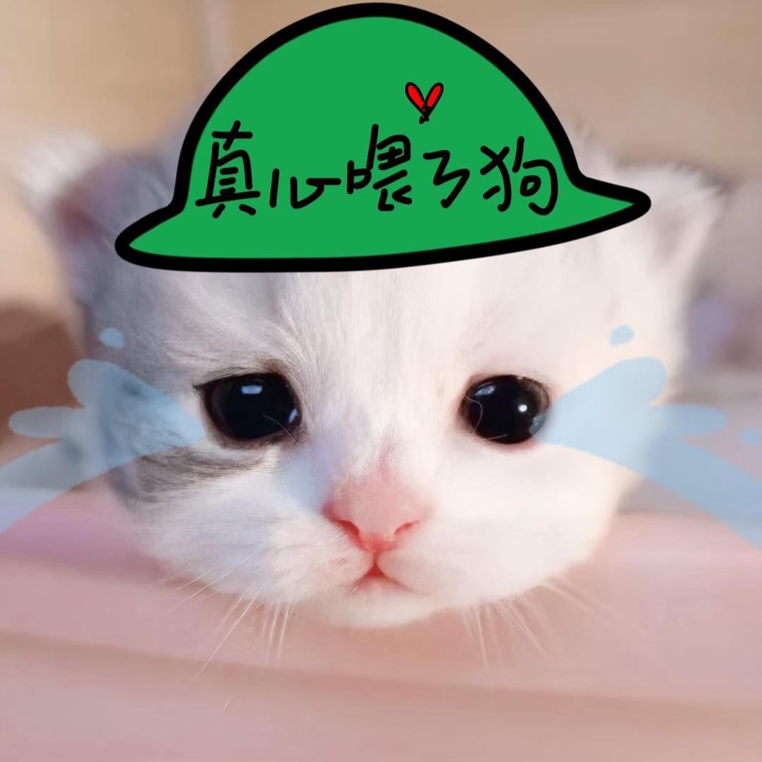 喜欢关注春竹