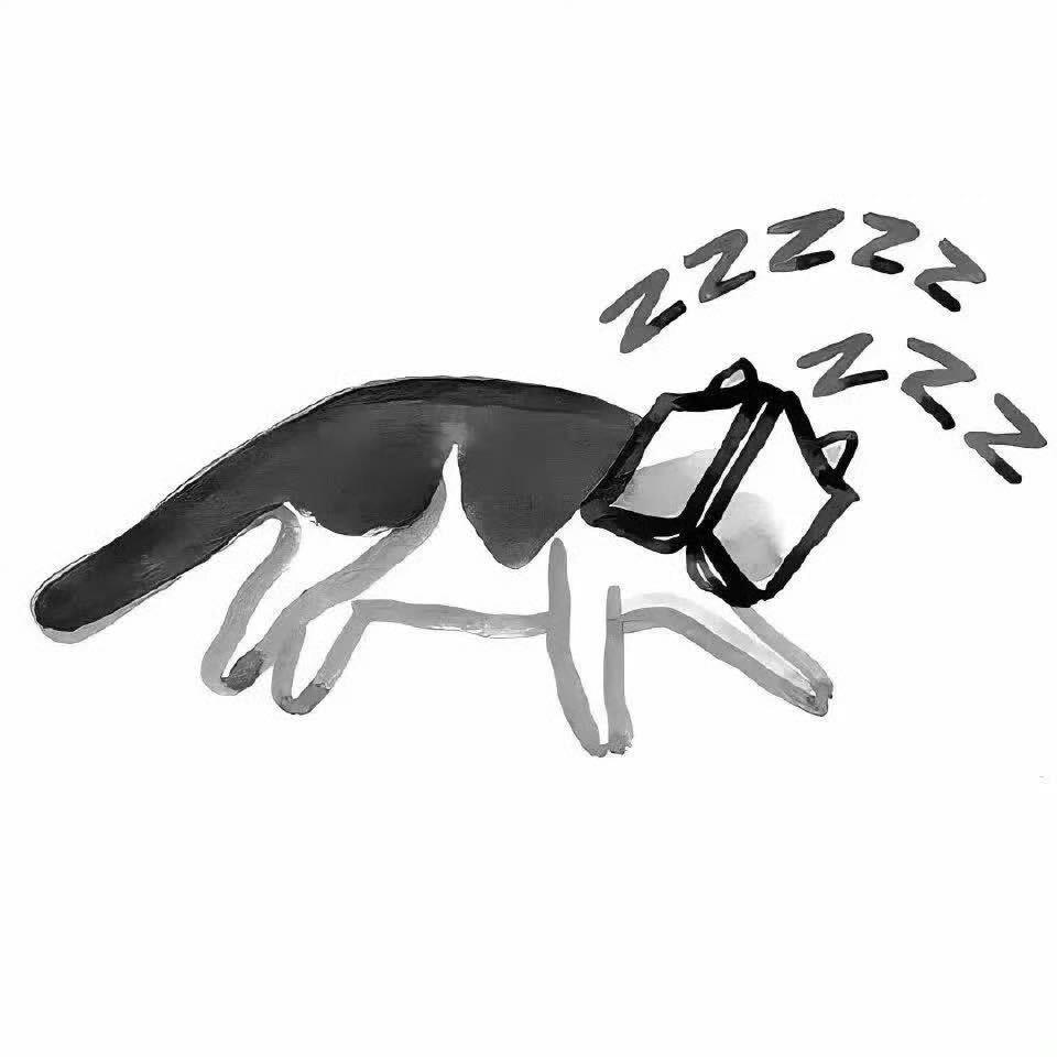 小叮当猫