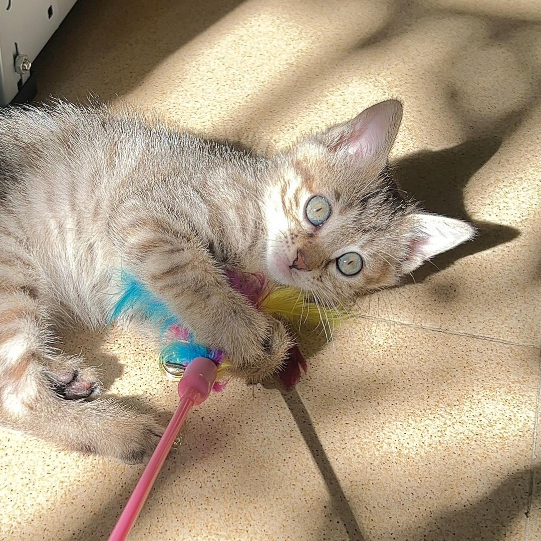 维尼熊🧸