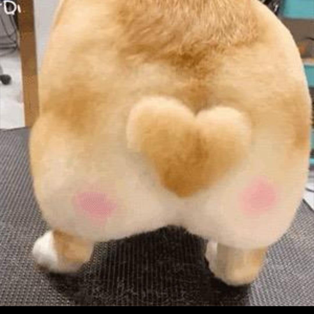 七柒  .