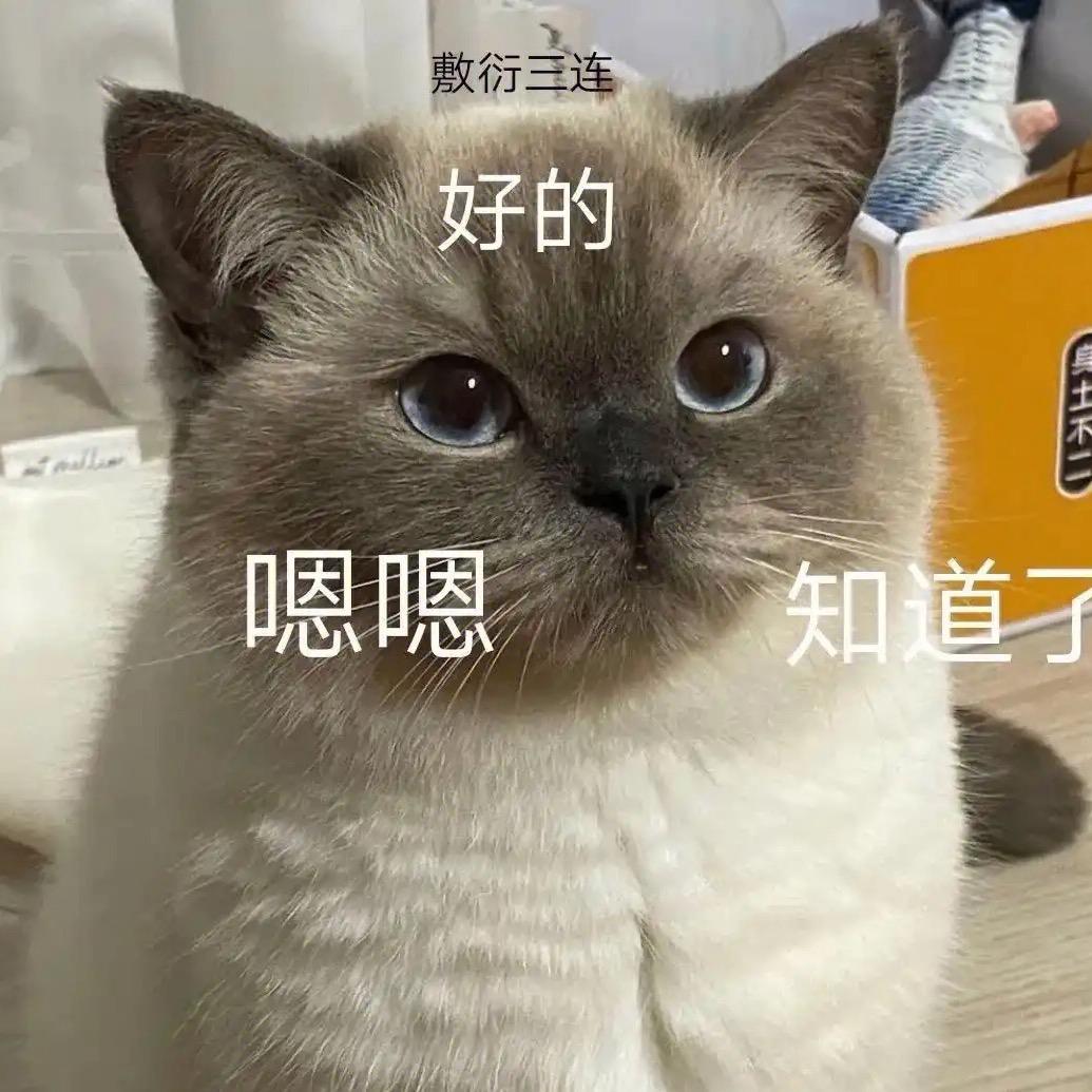 花花的银河A7