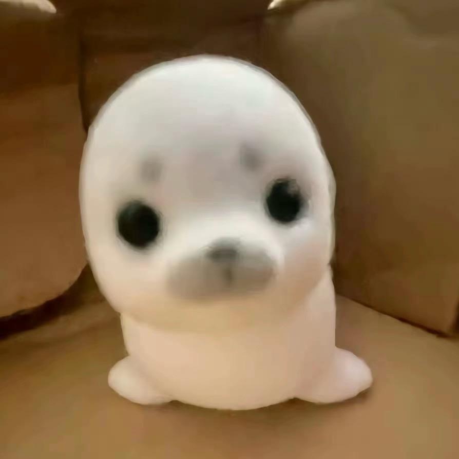 77（沈阳组局版）