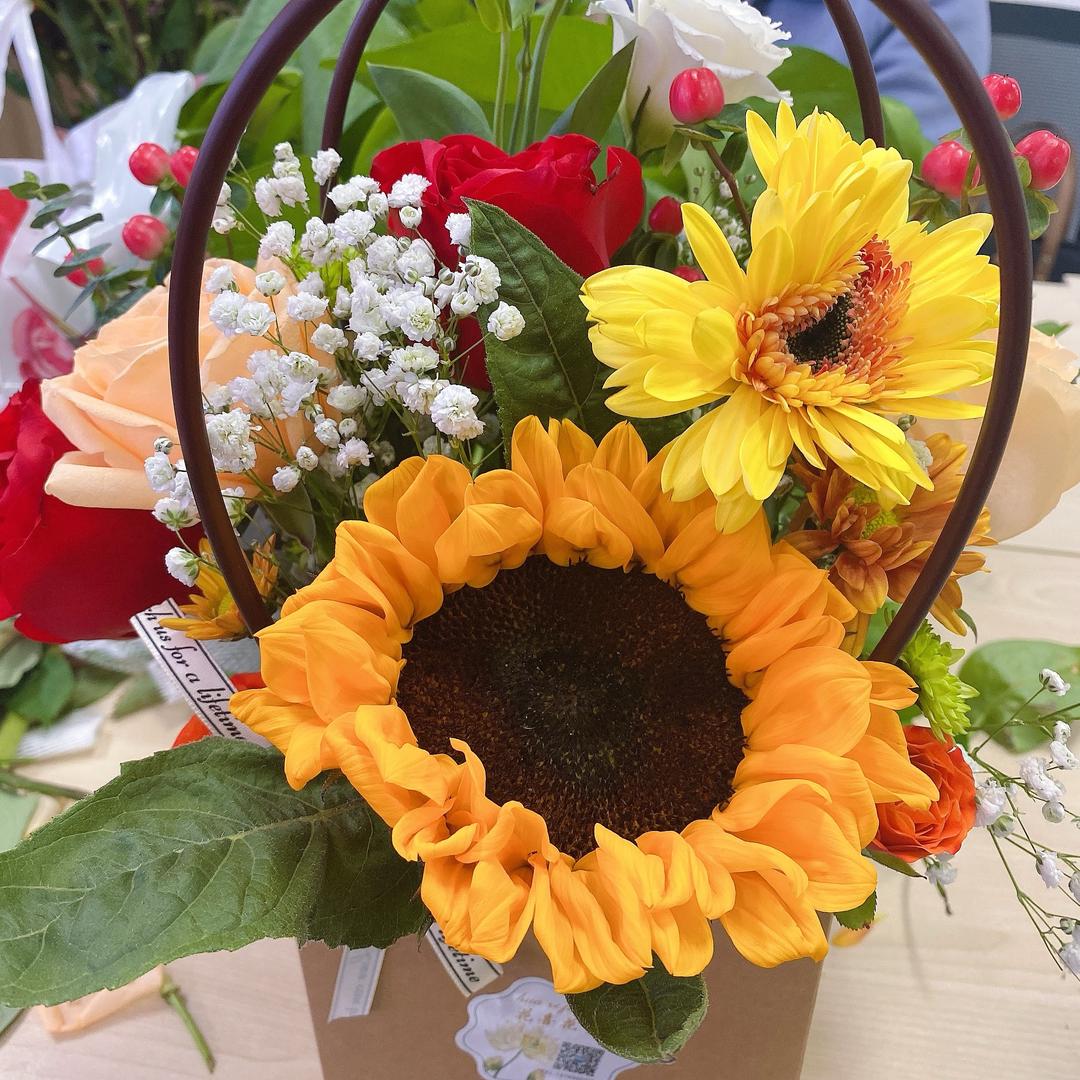 向日葵朝阳🌻