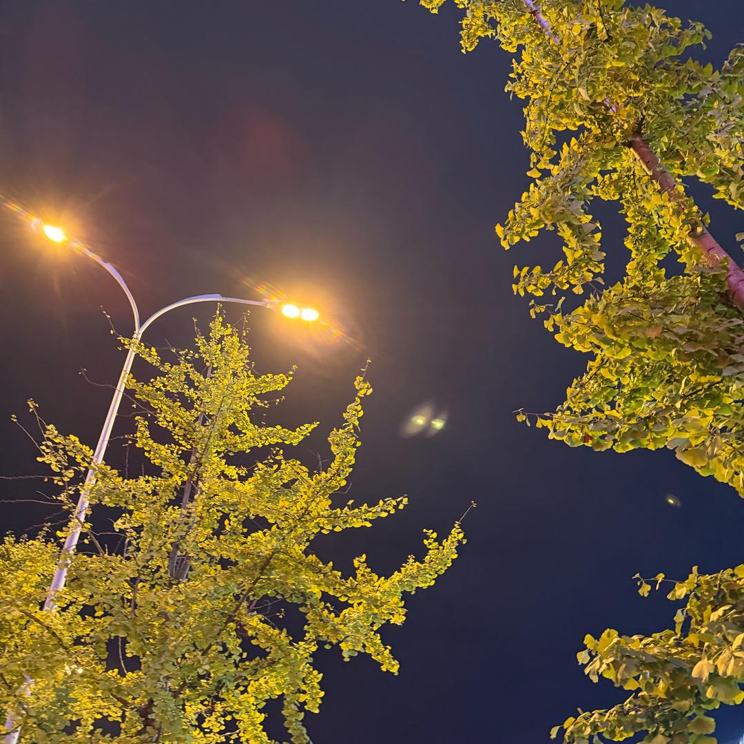 姑娘在山里💕日常.