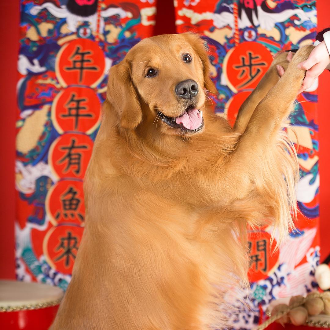 虾仁不加盐