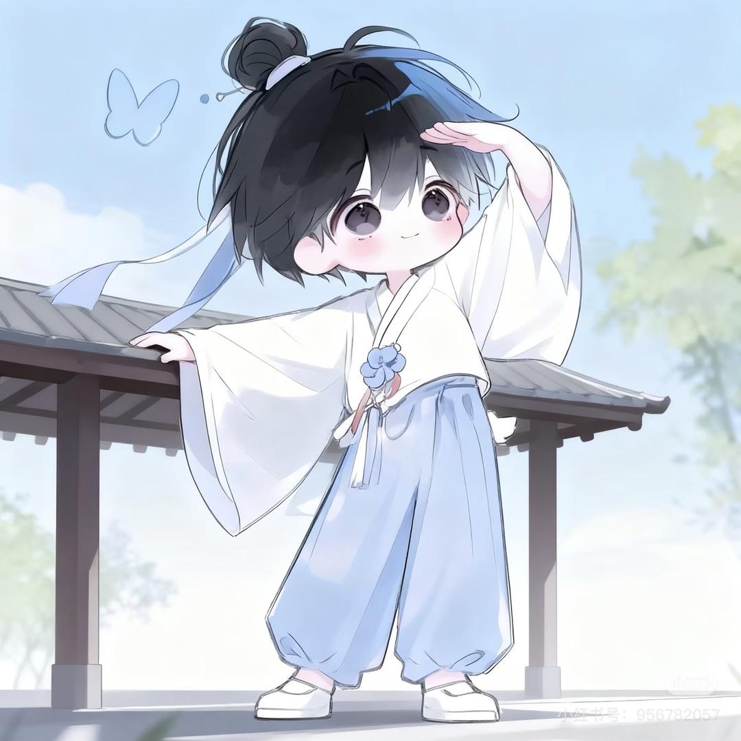 SKY华华大王