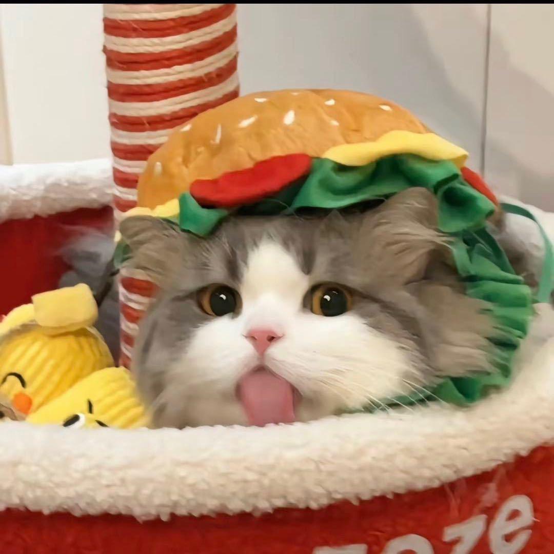 可可可可可颂