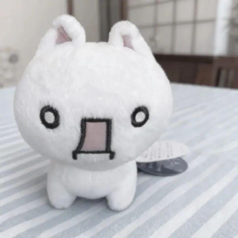 世界上最最最神经的傻子大人