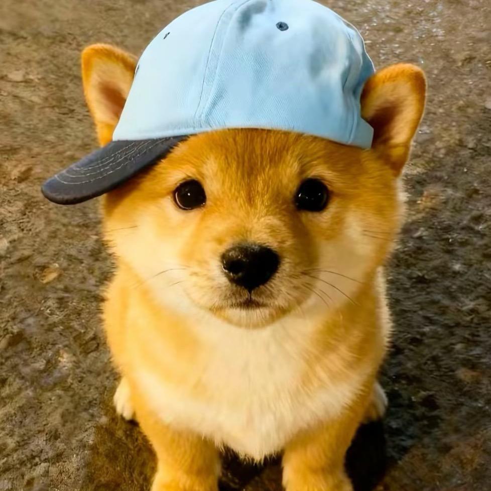 贪相识