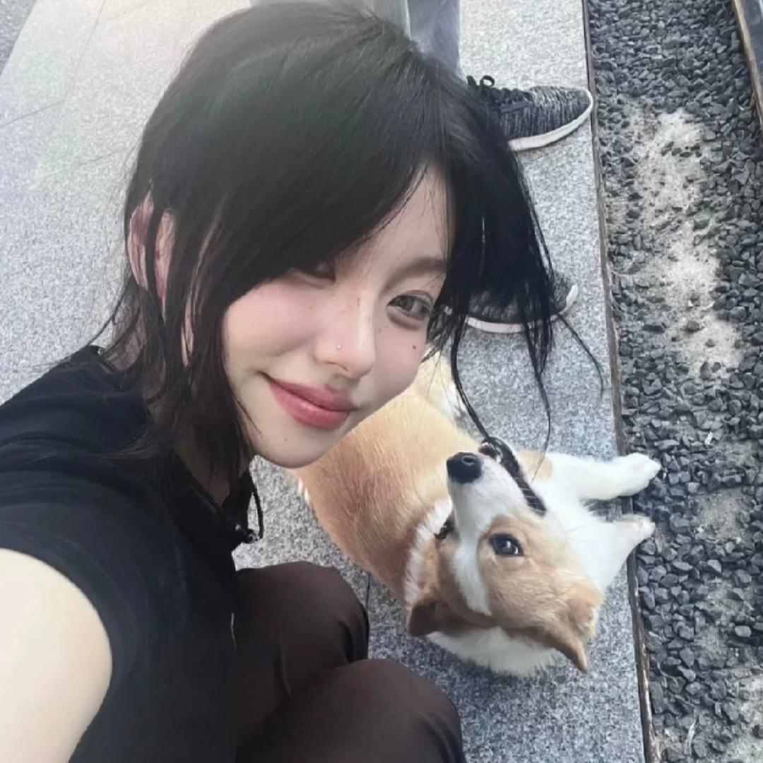 ZQRui