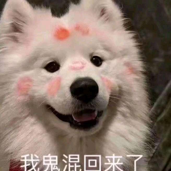 mrjohndoe头像