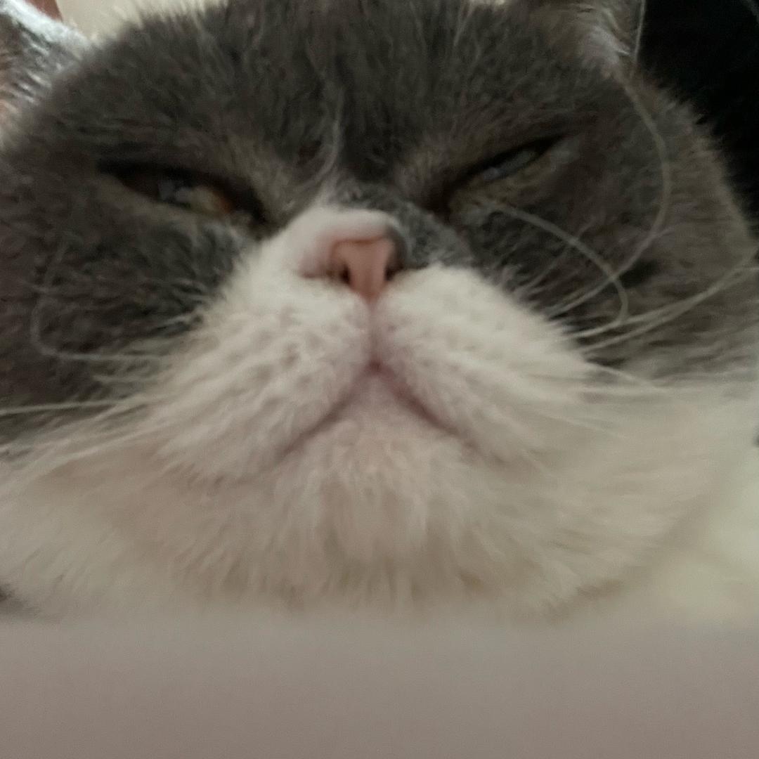 明天