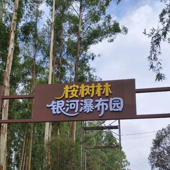 桉树林银河瀑布园宠粉号