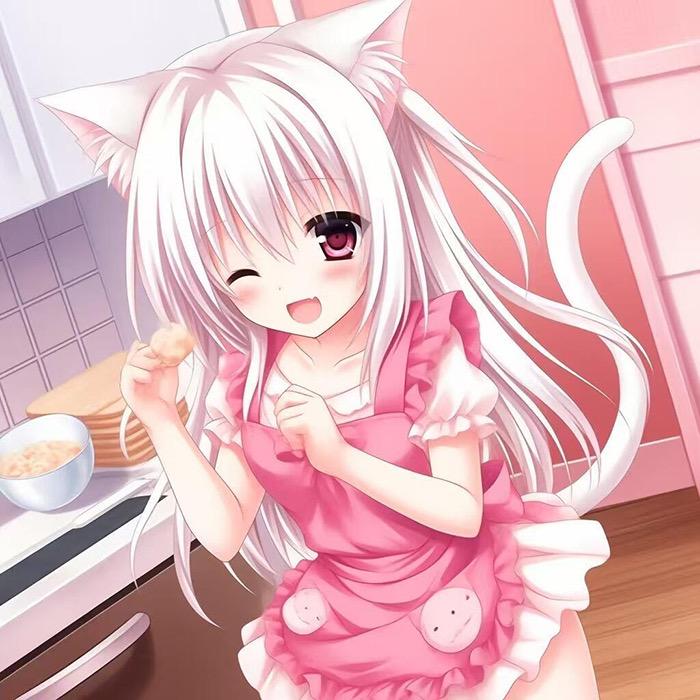 你的猫猫大人