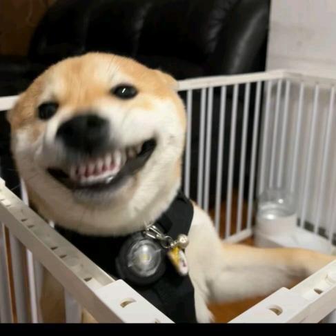 酒精过敏的帅哥