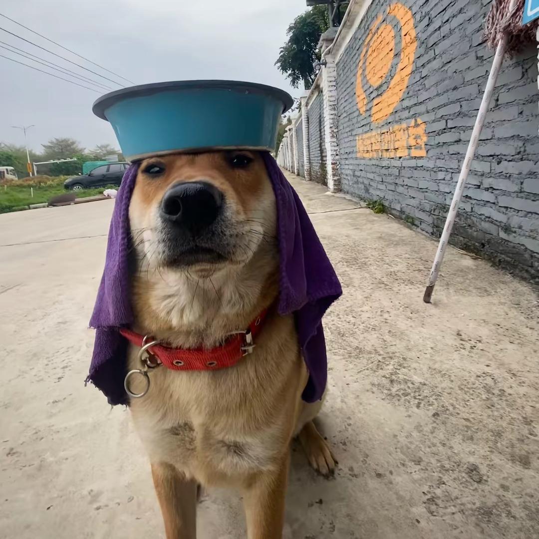 凯🔛