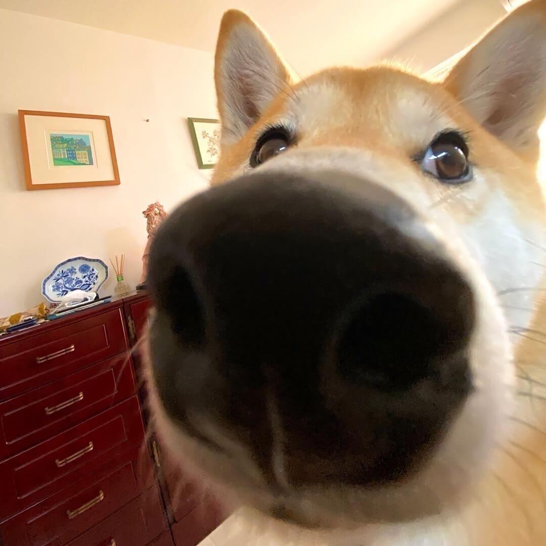 意