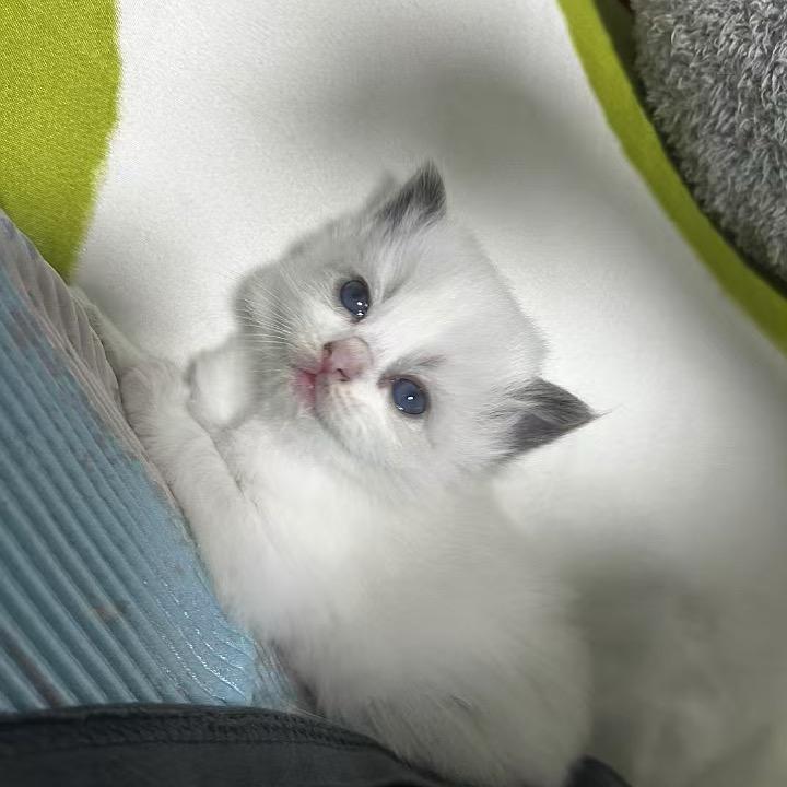 @海宝宝😘