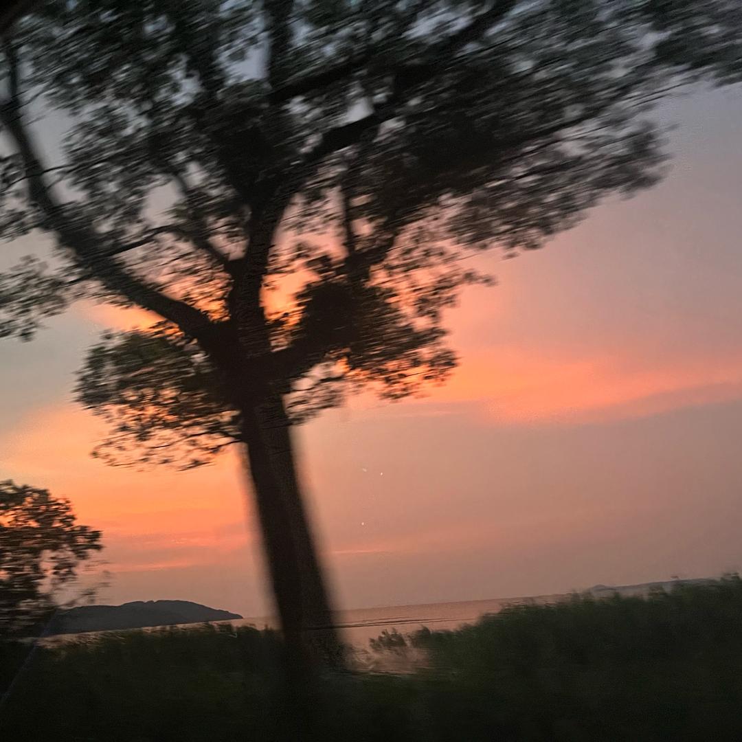 ✨✨雪❣️芳💫💫