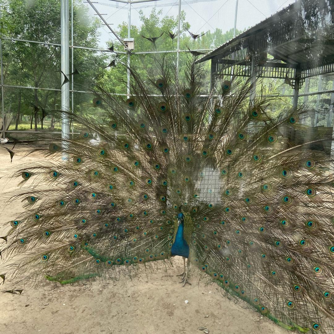 对方正在输入…