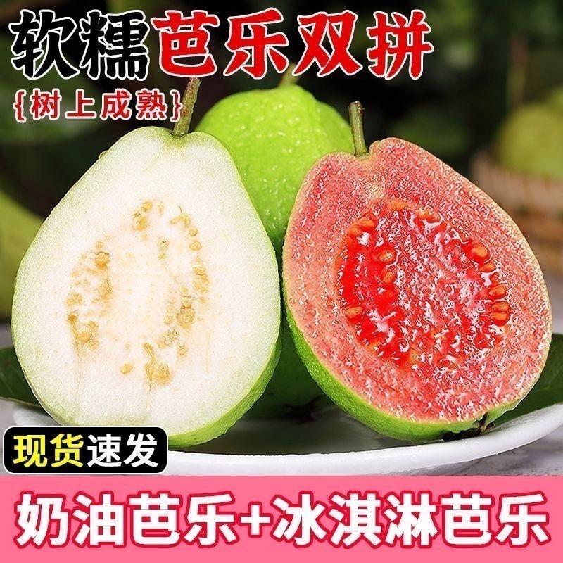 洪洪的芭乐园