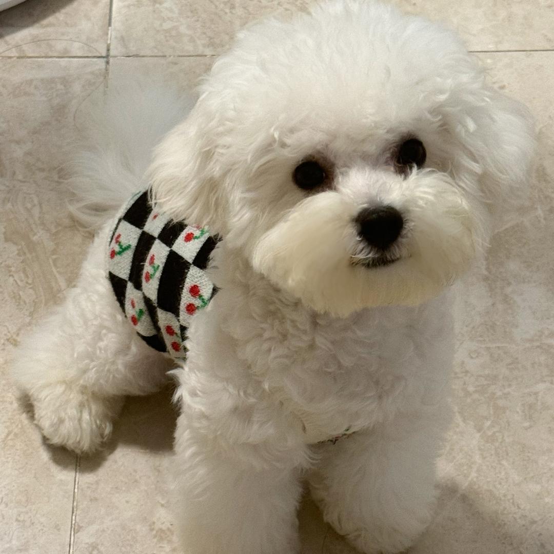 阿!小呆