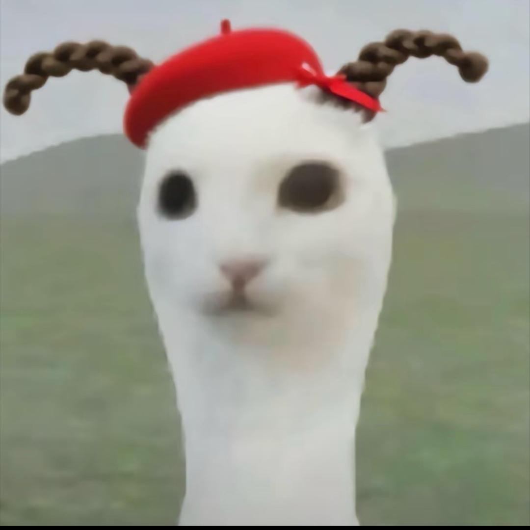 挞挞Ovo