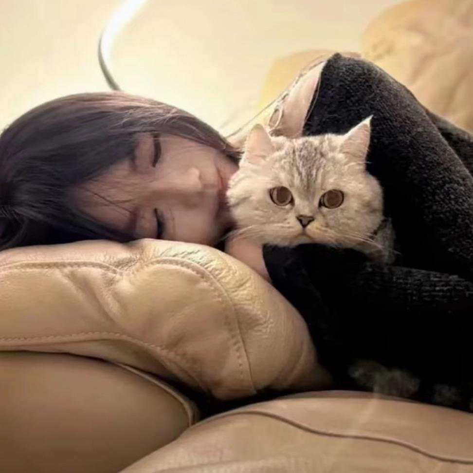 简丹.