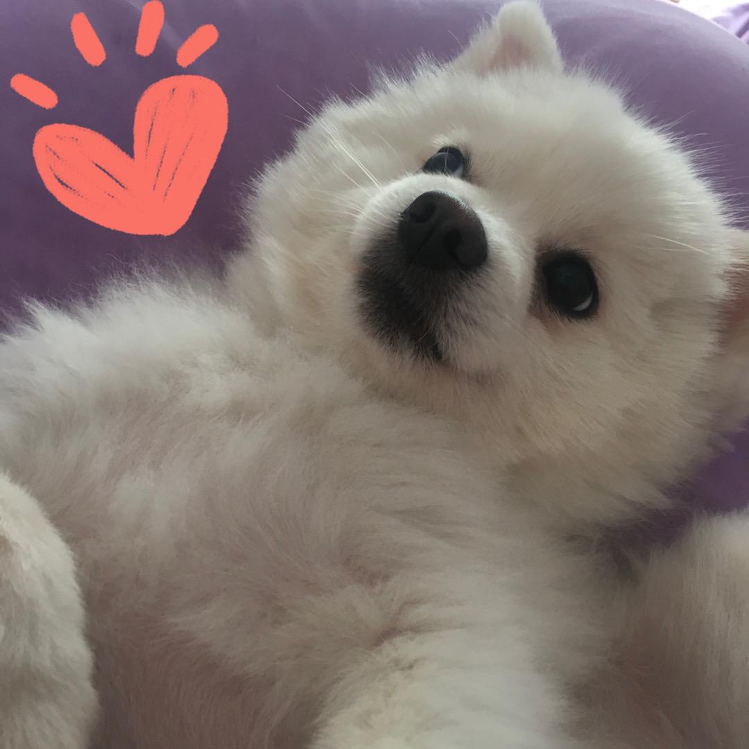 liulueiluei~