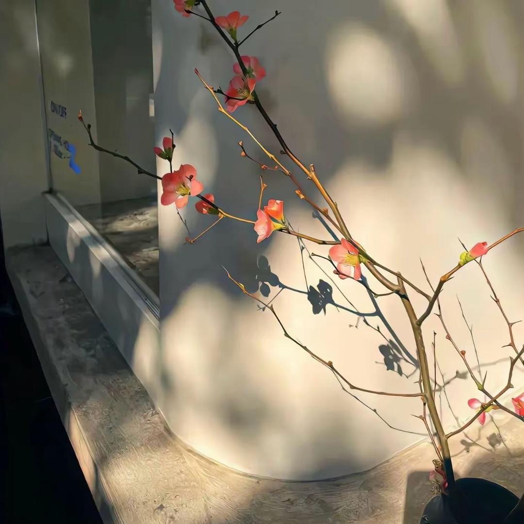 鹿漫漫