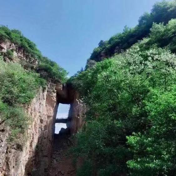 横岭山庄