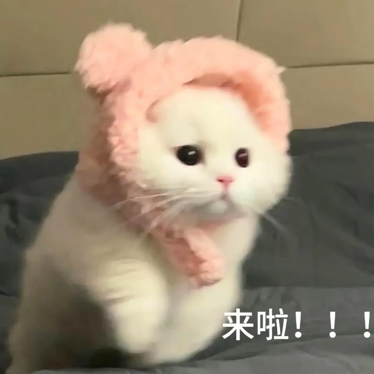 似夏