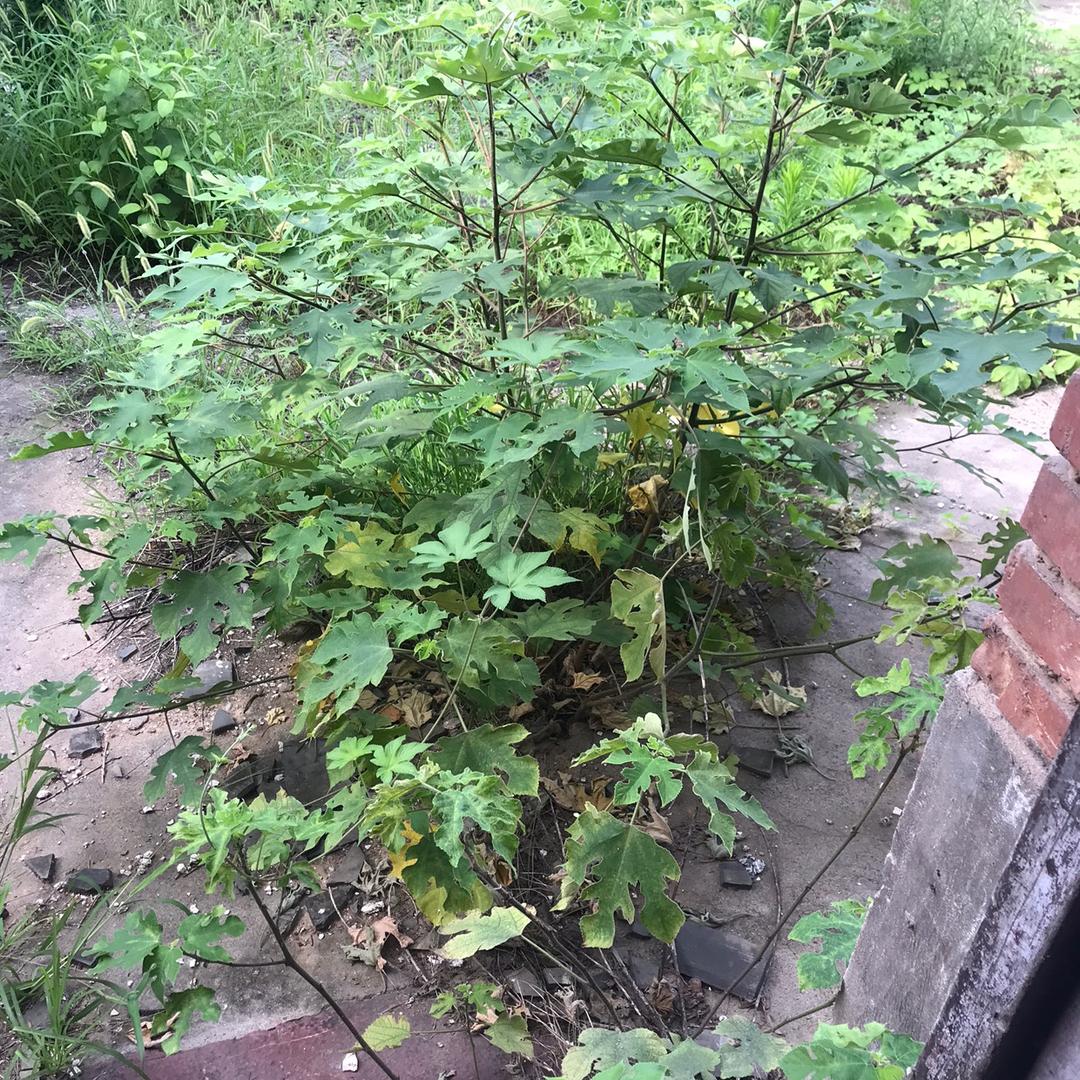 西游伏妖篇哈哈