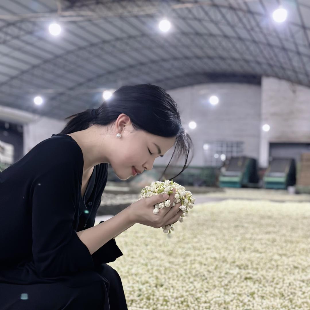 雅芝茉莉花yyzz