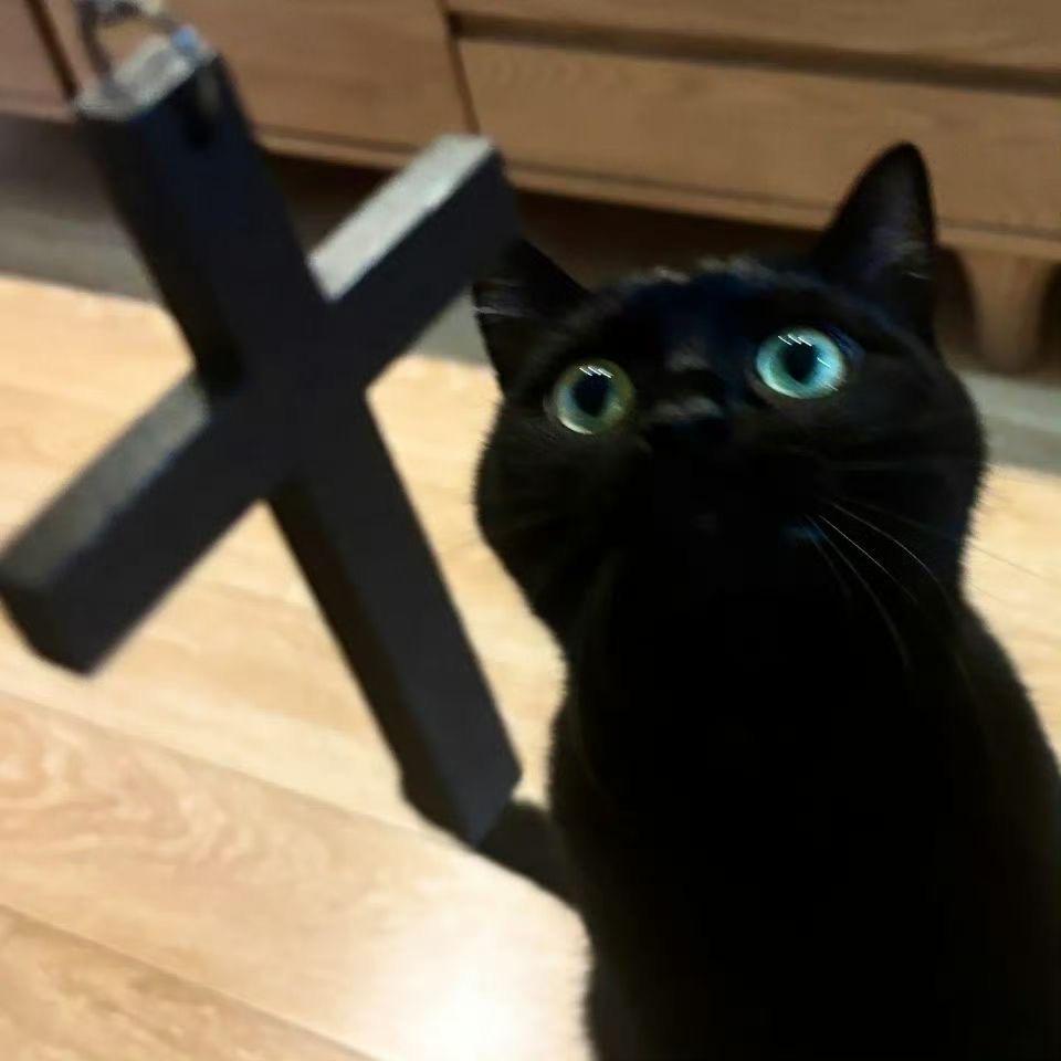 ㅤㅤㅤㅤㅤㅤ