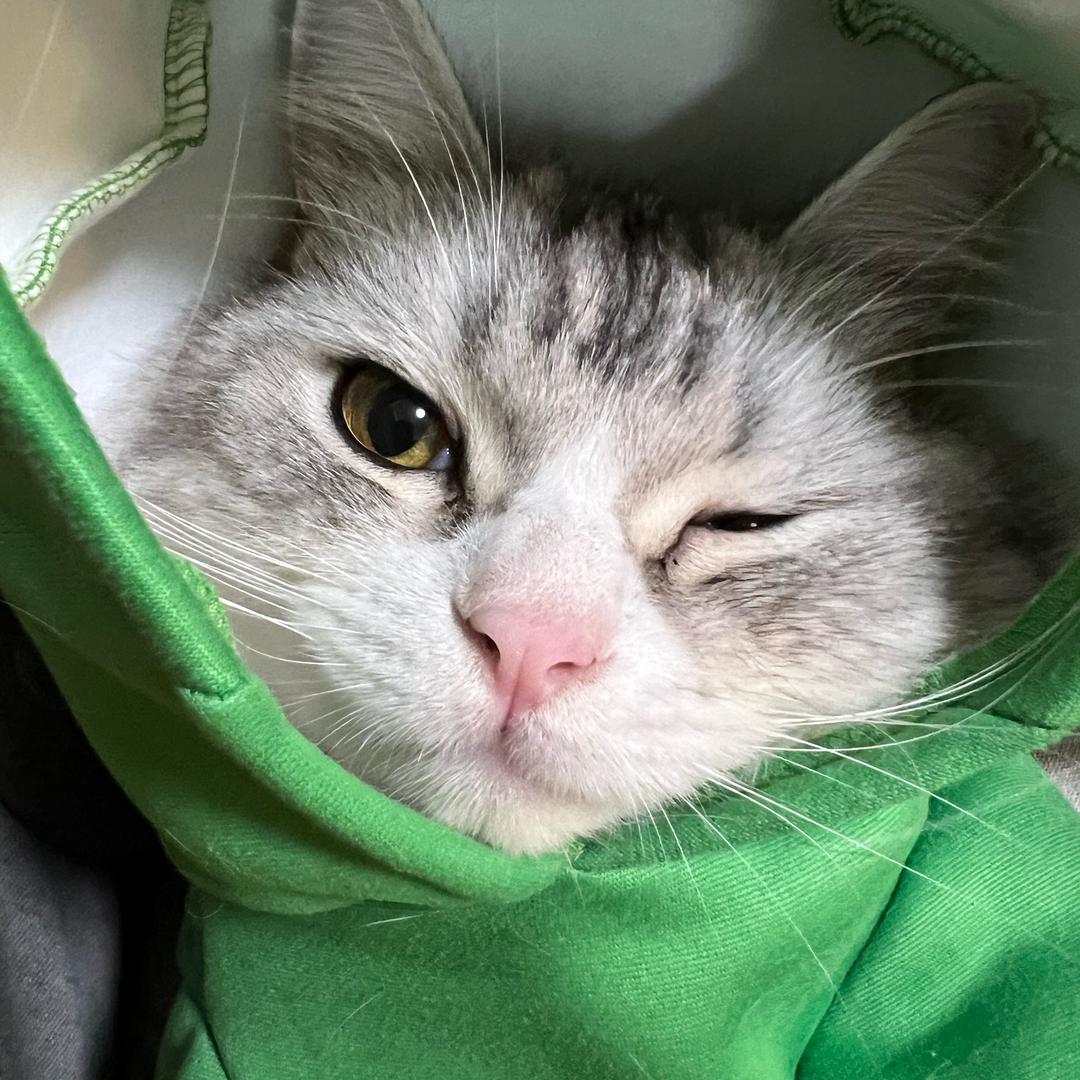 二宝zzz