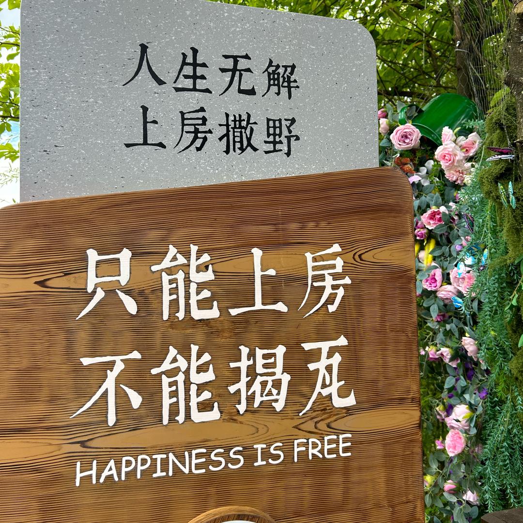 悦悦