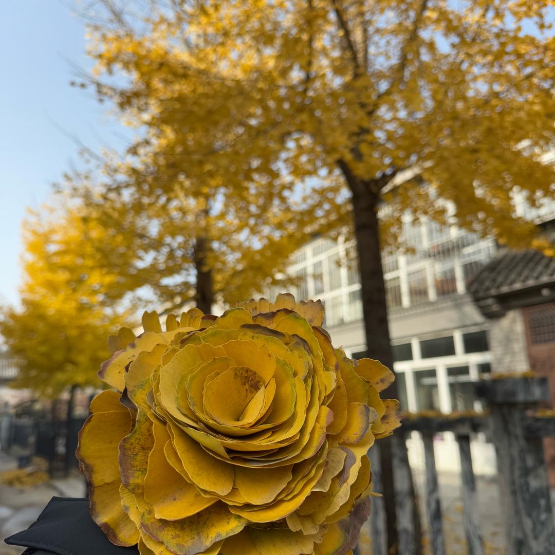 卖雕塑的小白羊♈