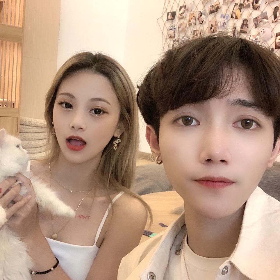 绿绿有点懒