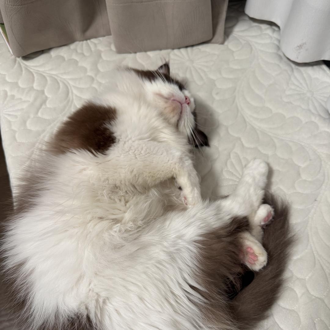 广州市雅澜服饰有限公司