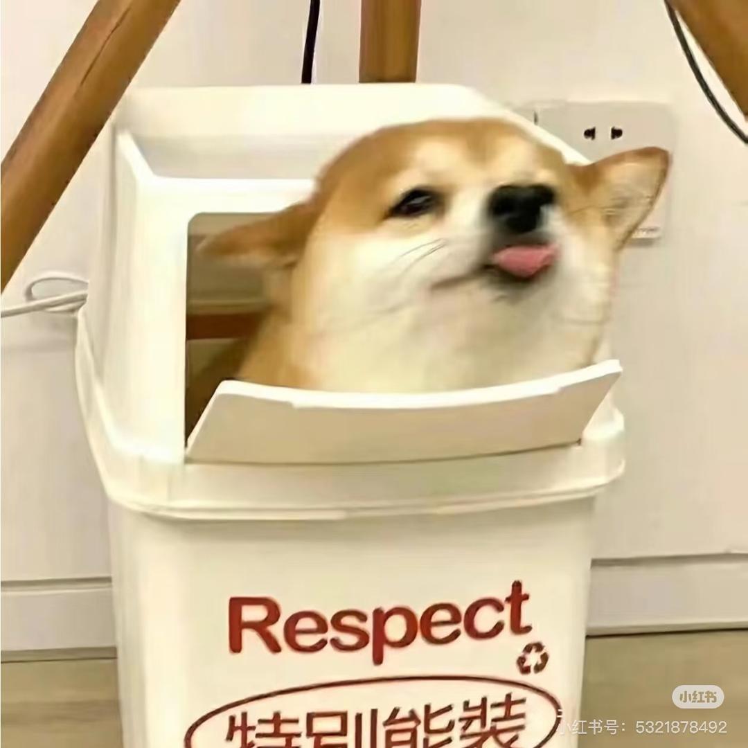 沄汐