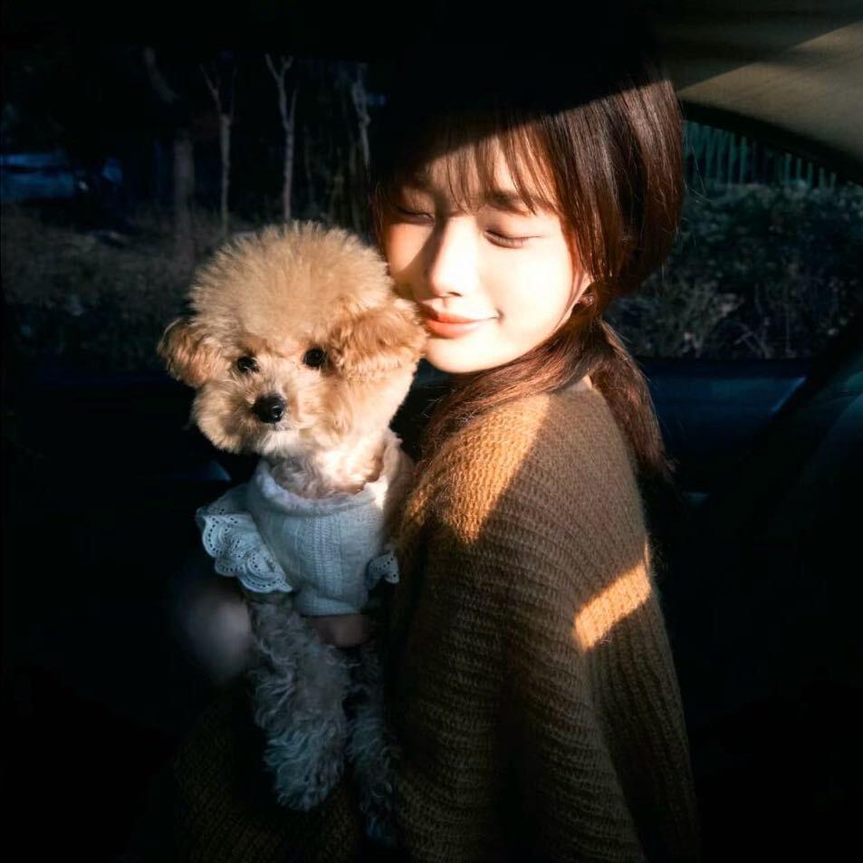 小宇   ㅤ ㅤ︋ ︋