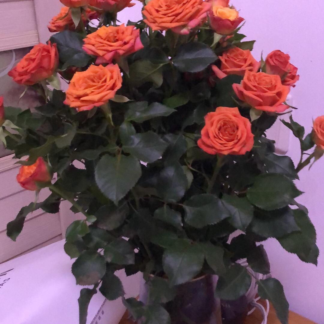 悠然