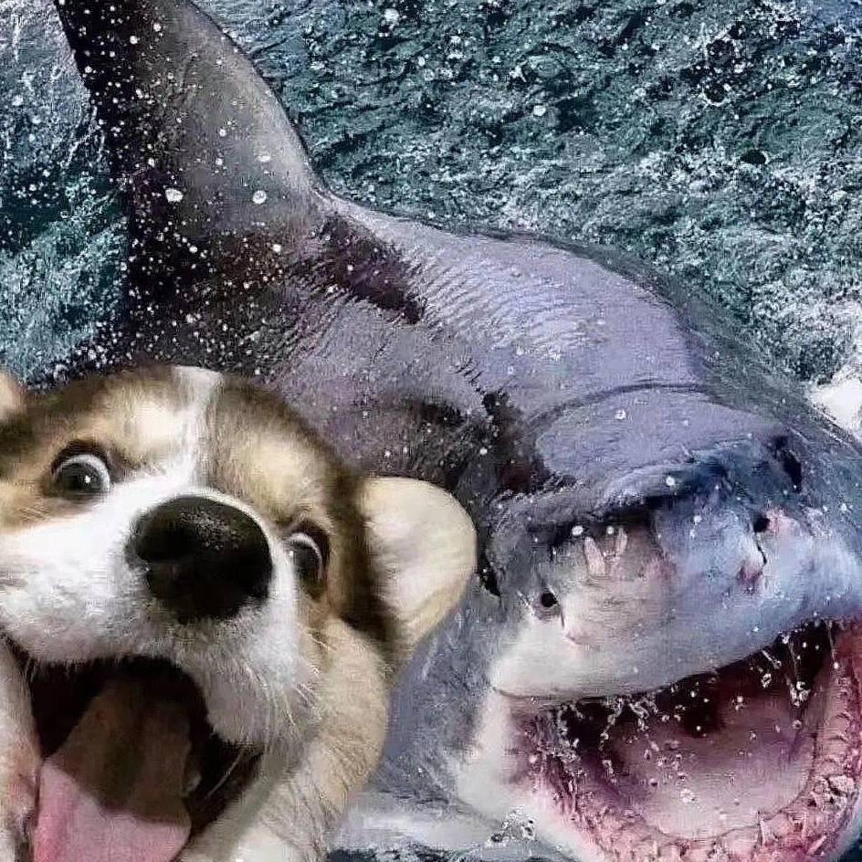 科欢霖             ╲╲