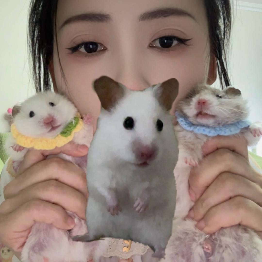 小懒懒爱吃零食爱睡懒觉爱包子爱公主爱剩子
