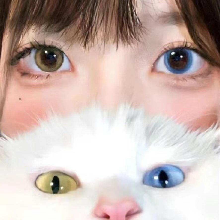 小猫妮₍·͈༝·͈˄₎◞ ̑̑4只猫