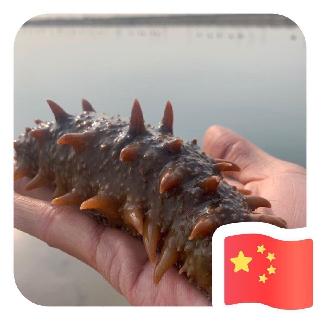 邦兴·君支