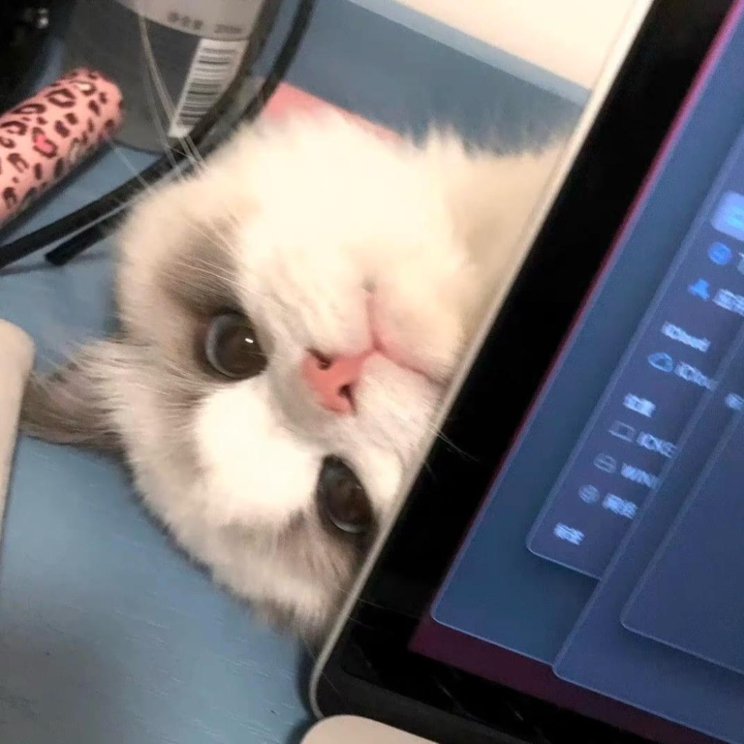 好笨.