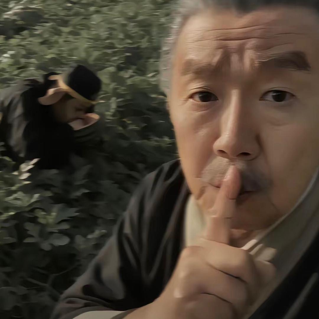 骨盆给你踹碎.